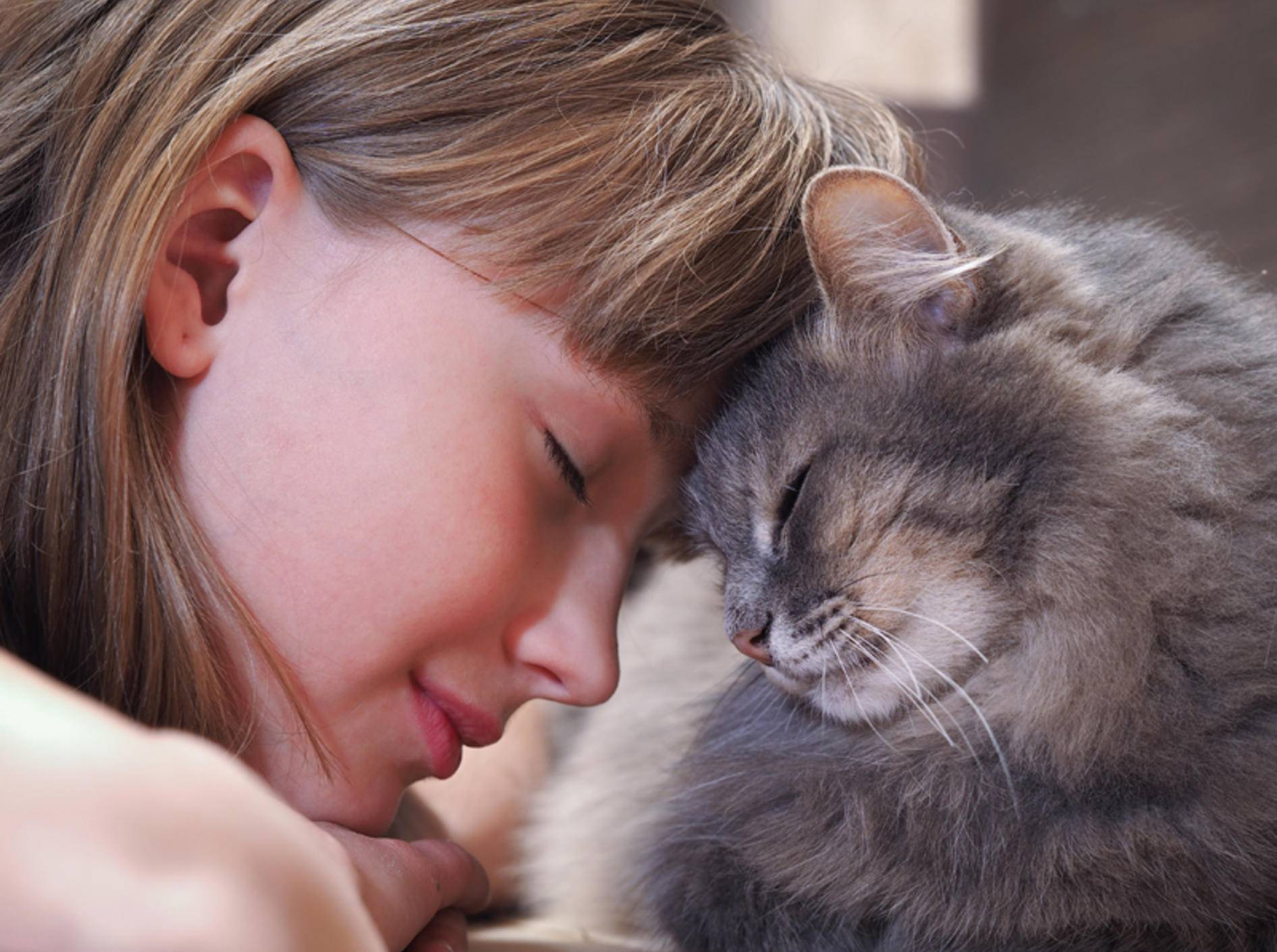 Eine Katze mit ihrer geliebten Menschenfreundin – Shutterstock / Irina Kozorog