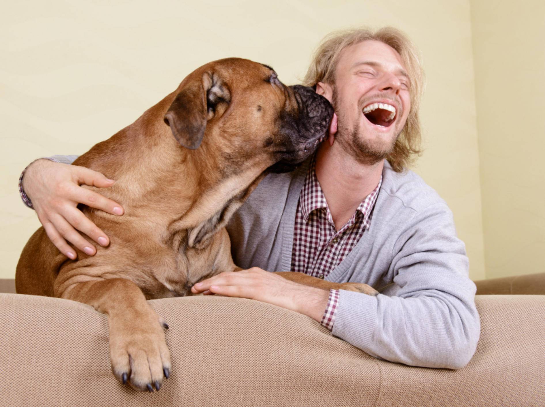 Wenn ein Hund sie aufrichtig liebt, können Sie sich wahrlich glücklich schätzen – Shutterstock / Inna Astakhova