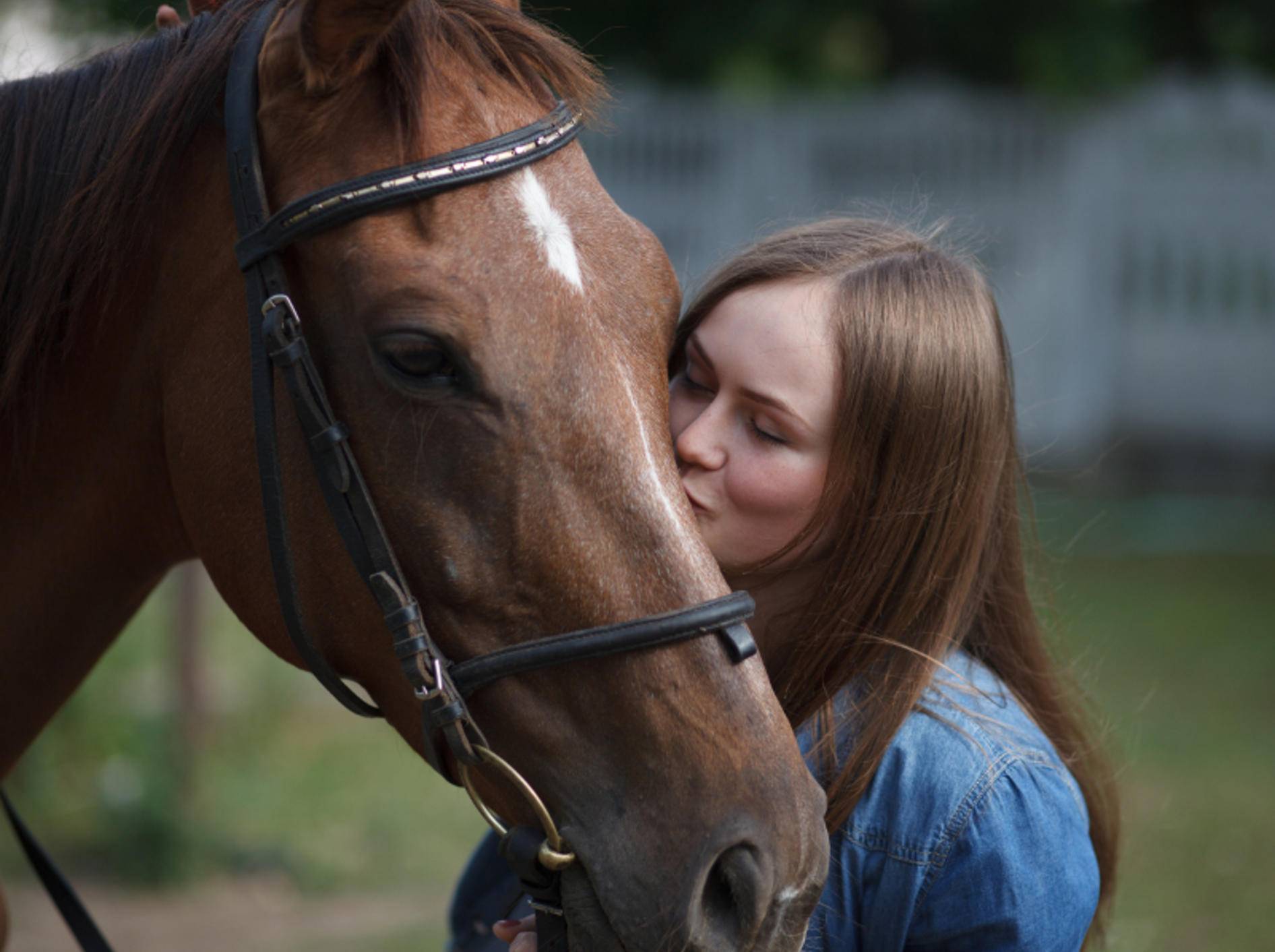 Pferde sind äußerst soziale und empathische Tiere, die Menschen oft sehr gut "lesen" können – Shutterstock / Vasyl Syniuk