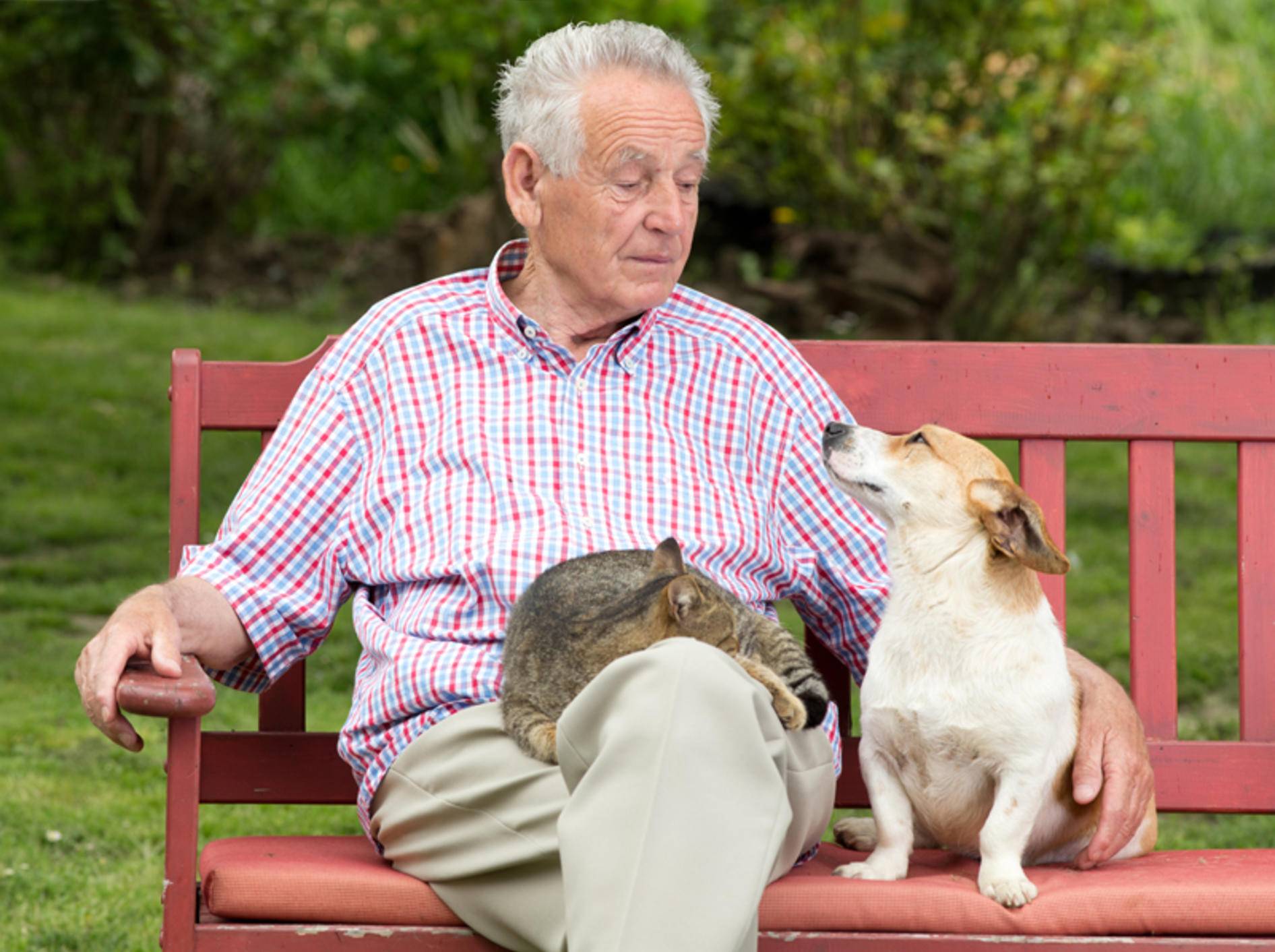 "Ich habe euch beide gleich lieb", denkt sich dieser ältere Herr mit seinen Haustieren – Shutterstock / Budimir Jevtic