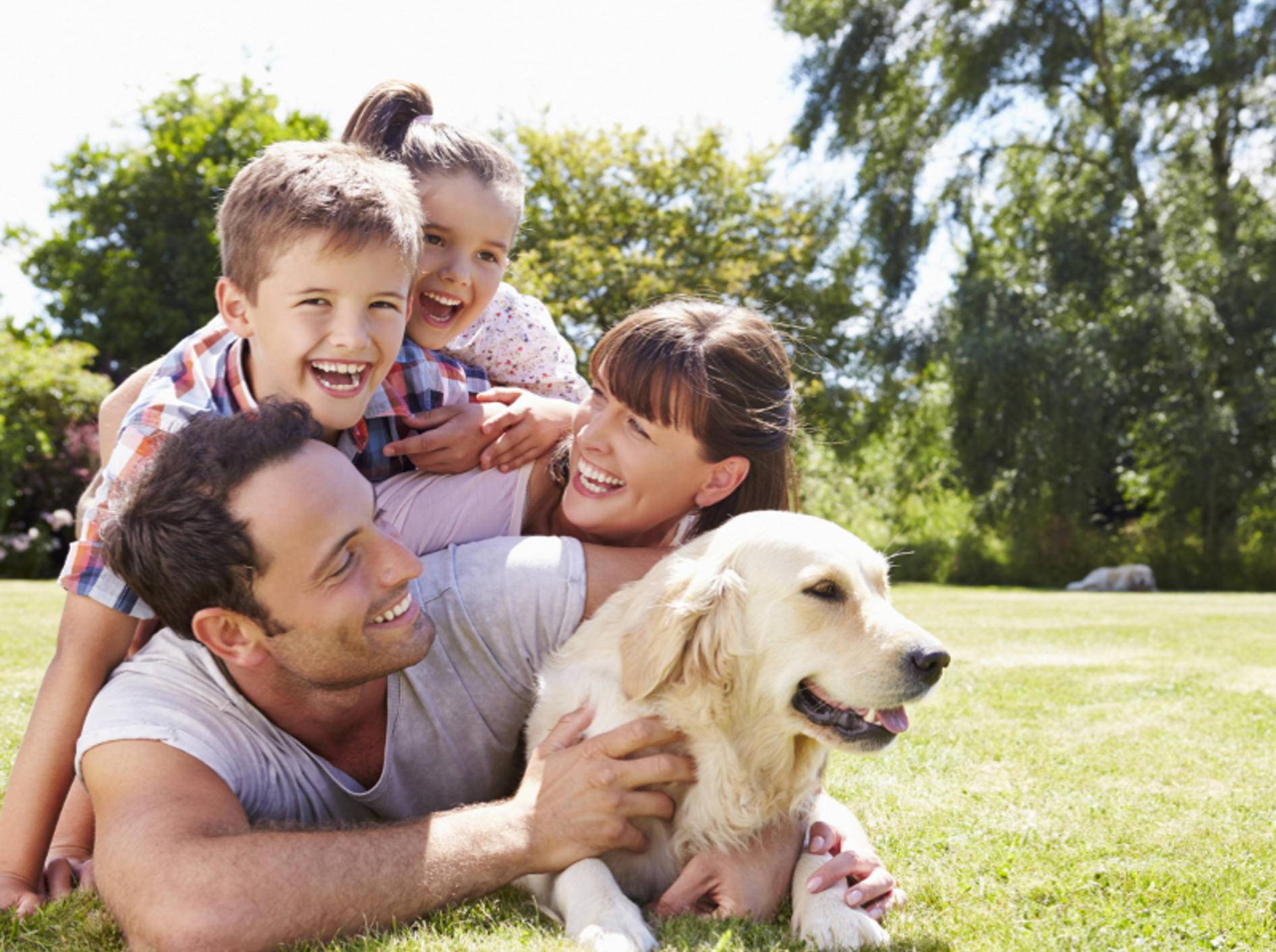Ein Hund bereichert alle im Haushalt und spannt die gesamte Familie mit ein – Shutterstock / Monkey Business