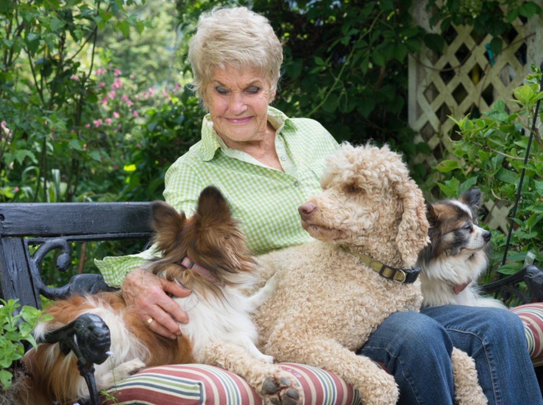 Einfach nur schön, für die sympathische Dame scheint Hundesitting genau richtig zu sein! – Shutterstock / Jamie Hooper