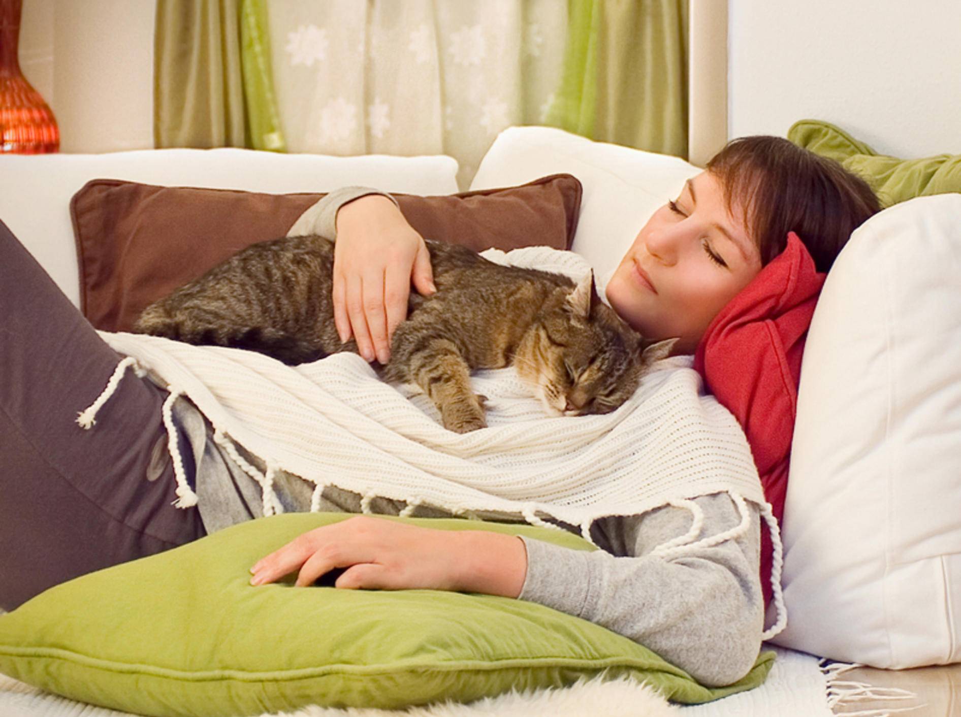 Kuscheln ist sooo schön: Diese Katze fühlt sich wohl und geborgen bei ihrem Lieblingsmensch – Shutterstock / Patrizia Tilly