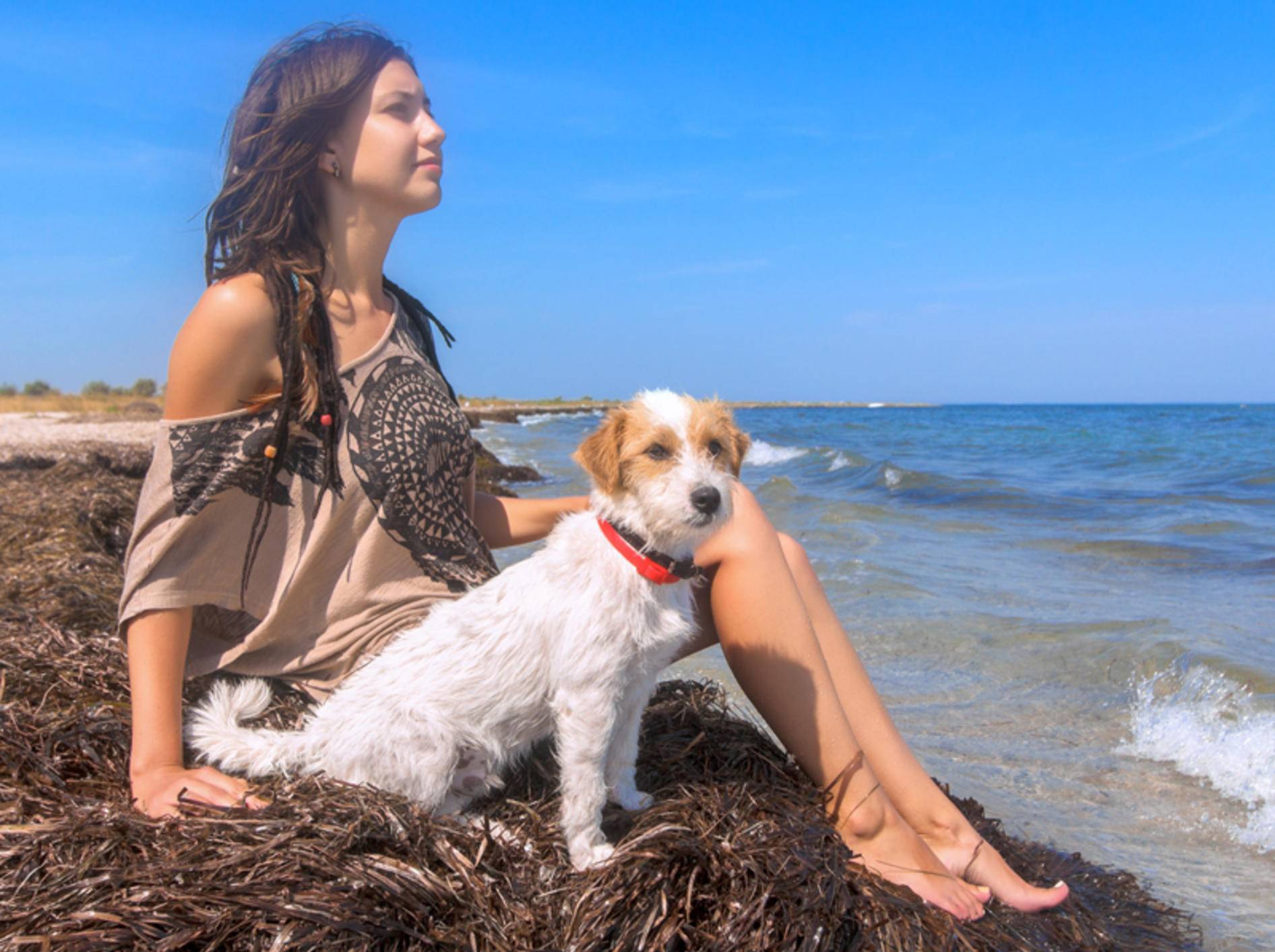 Wellness mit Hund am Strand, da ist Entspannung garantiert – Shutterstock / Sundays Photography