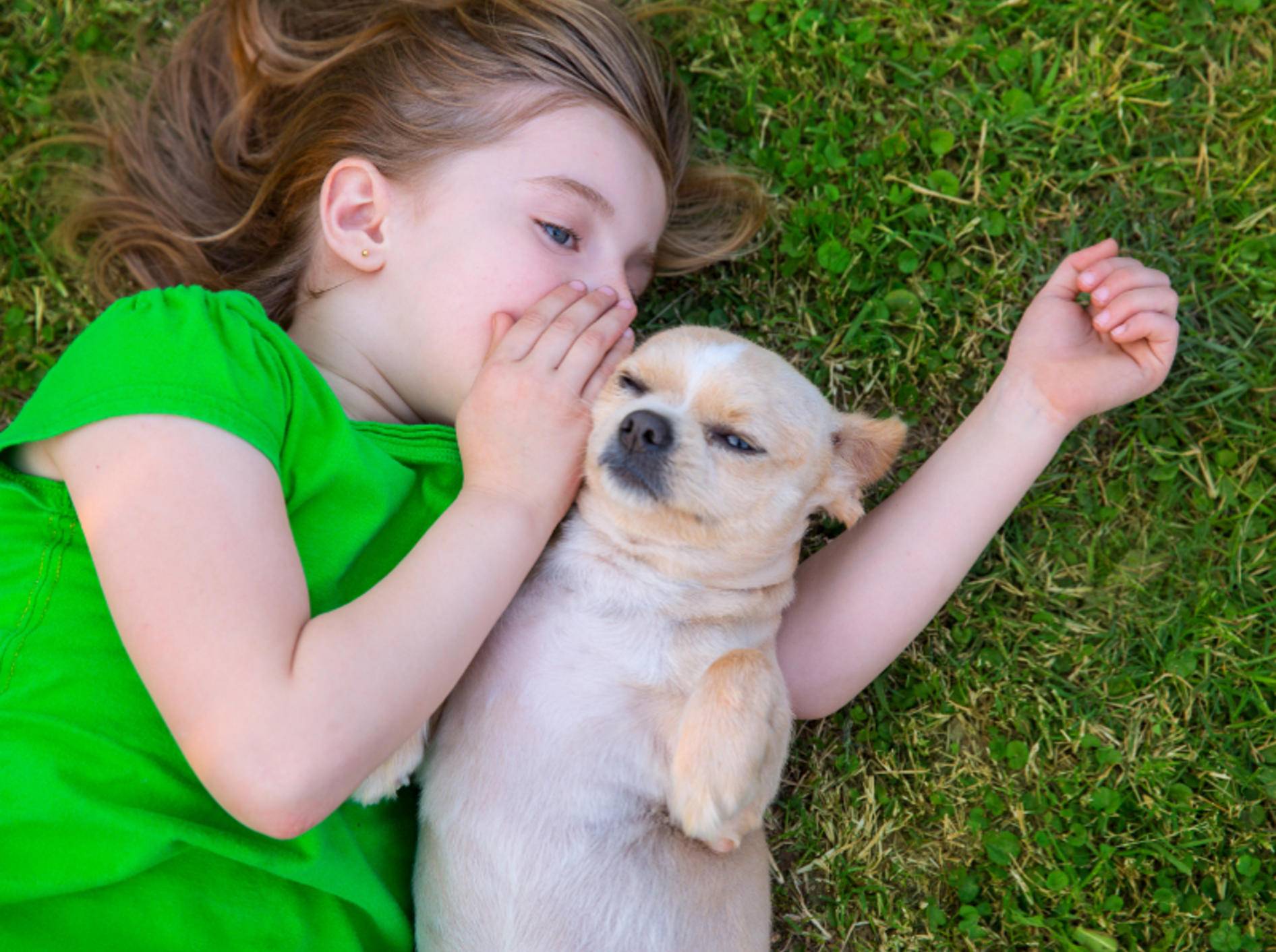 "Hey, hör mal. Ich hab dich lieb!" – Hunde mögen es in der Regel, wenn man mit ihnen spricht – Shutterstock / holbox