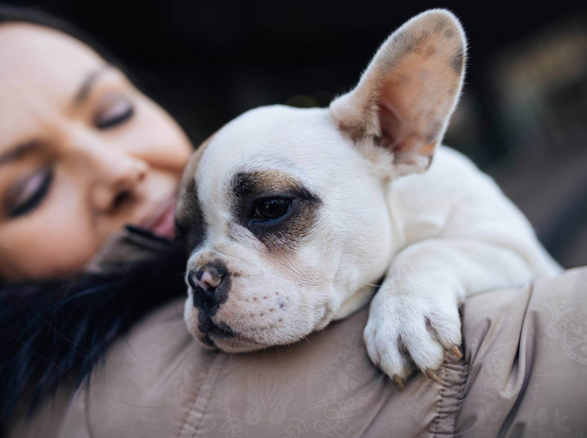 Eine starke Bindung zwischen Mensch und Hund ist durch Vertrauen und das Gefühl von Sicherheit geprägt – Shutterstock / DuxX