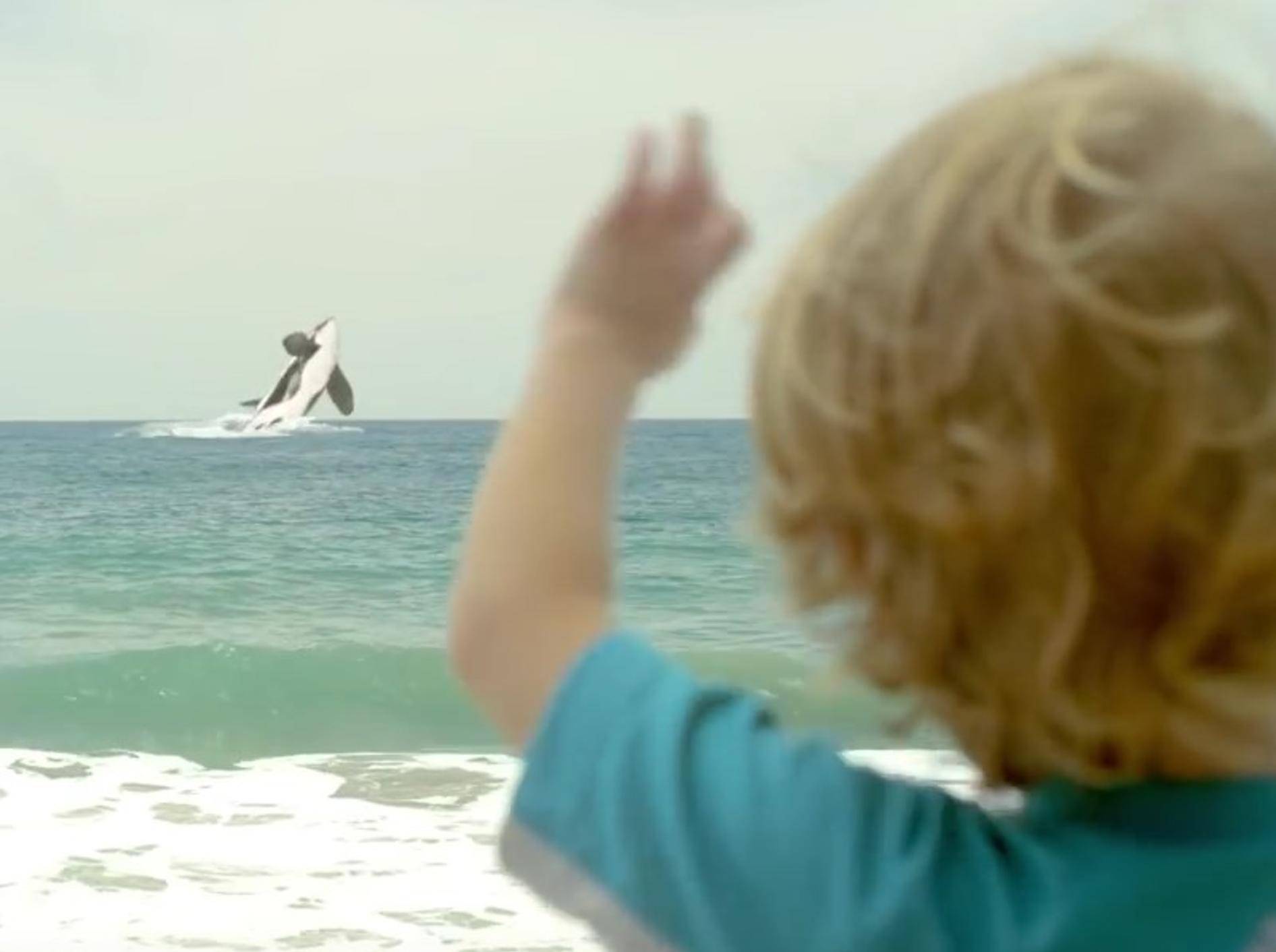 Am Ende kommt der Mini-Orca in die offene See und ist glücklich – YouTube / munchkin