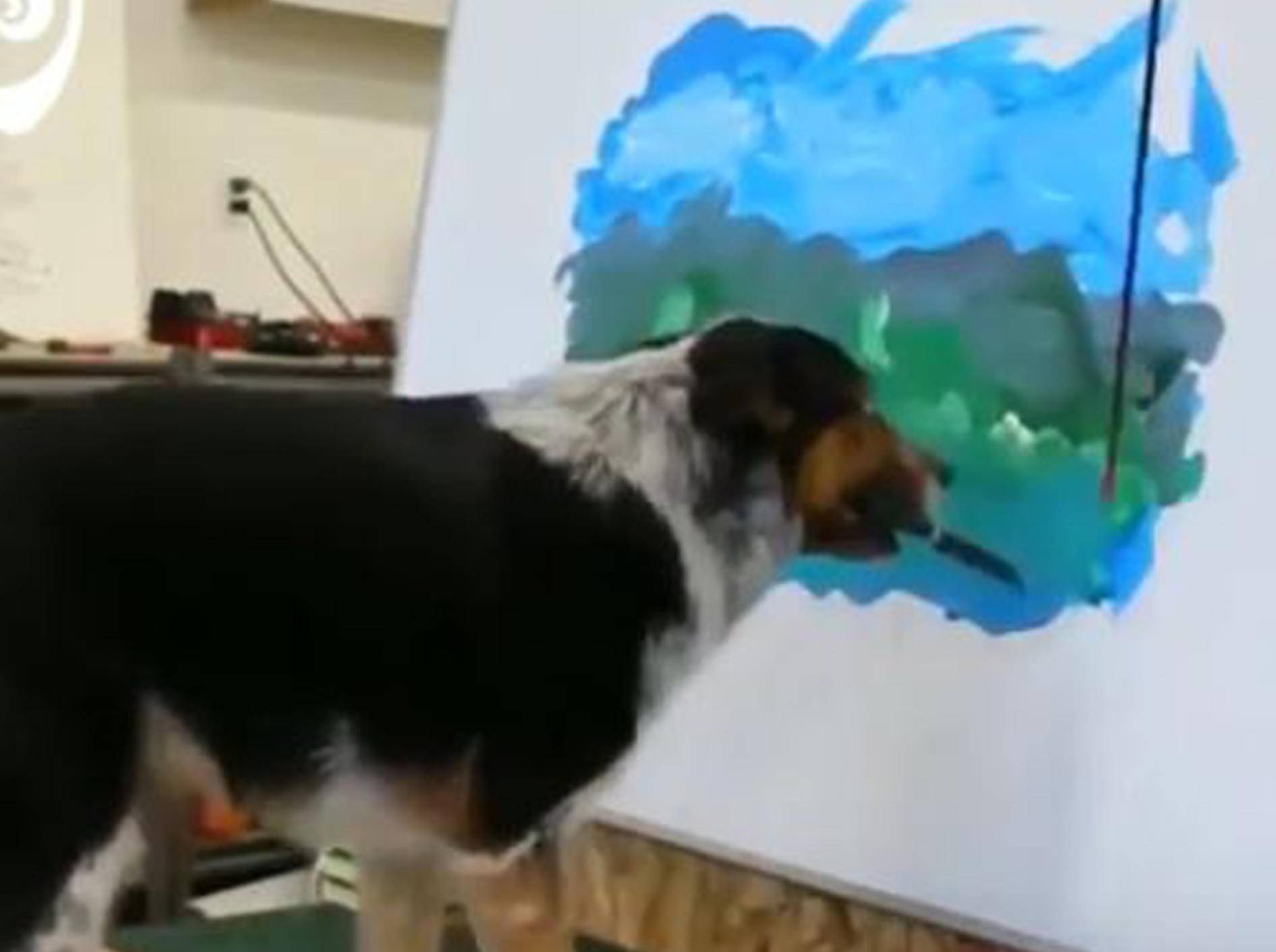Hund Jumpy malt ein Kunstwerk - Bild: YouTube / World Pugs Dog Show
