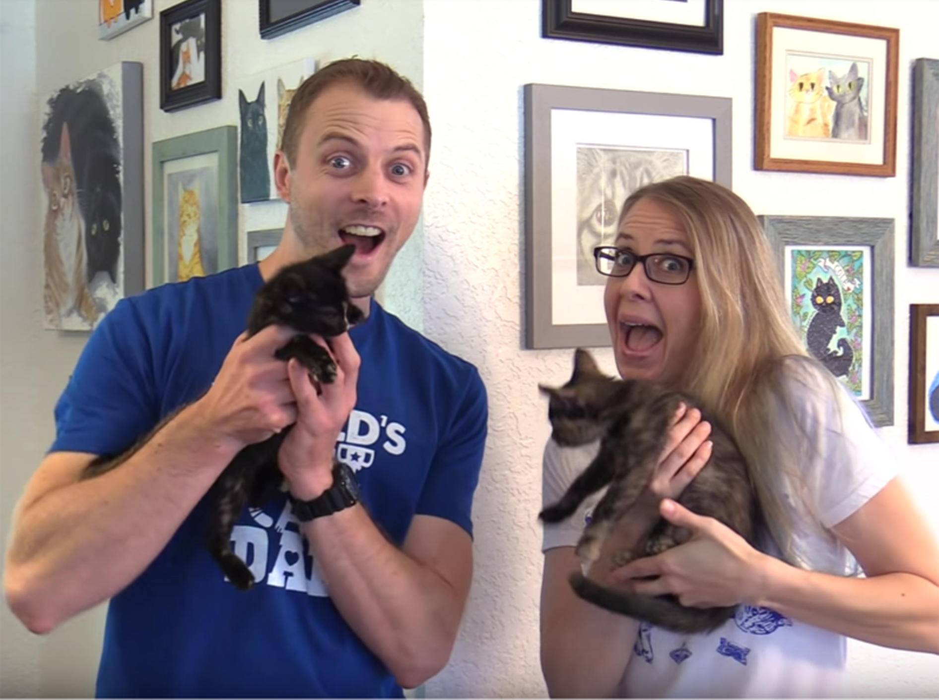 Cole und Marmalade bekommen zwei kleine Katzenschwestern – YouTube / Cole and Marmalade