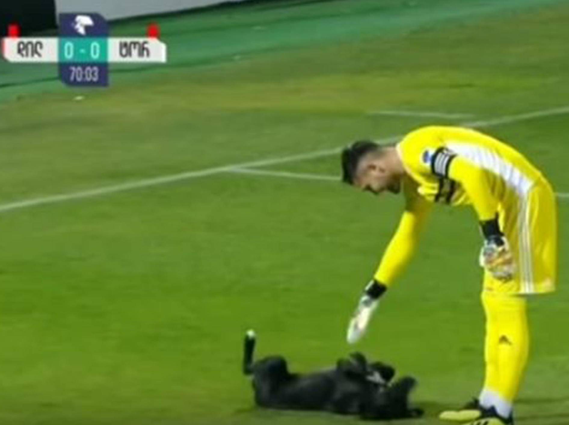 Ein Hund sorgte bei einem Fußballspiel in Georgien für eine Extrapause - Bild: YouTube / ODN