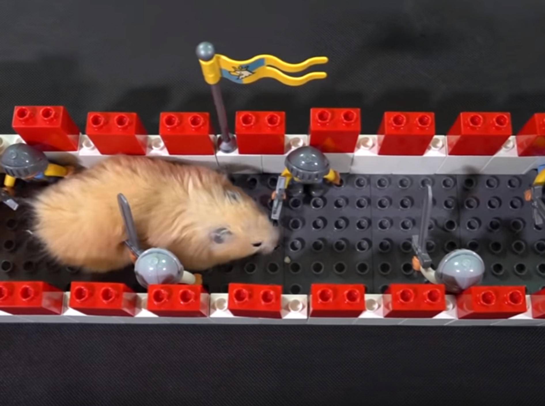 Dieser süße Hamster schlängelt sich zwischen Lego-Steine hindurch - Bild: YouTube / The Secret Life of my Hamster