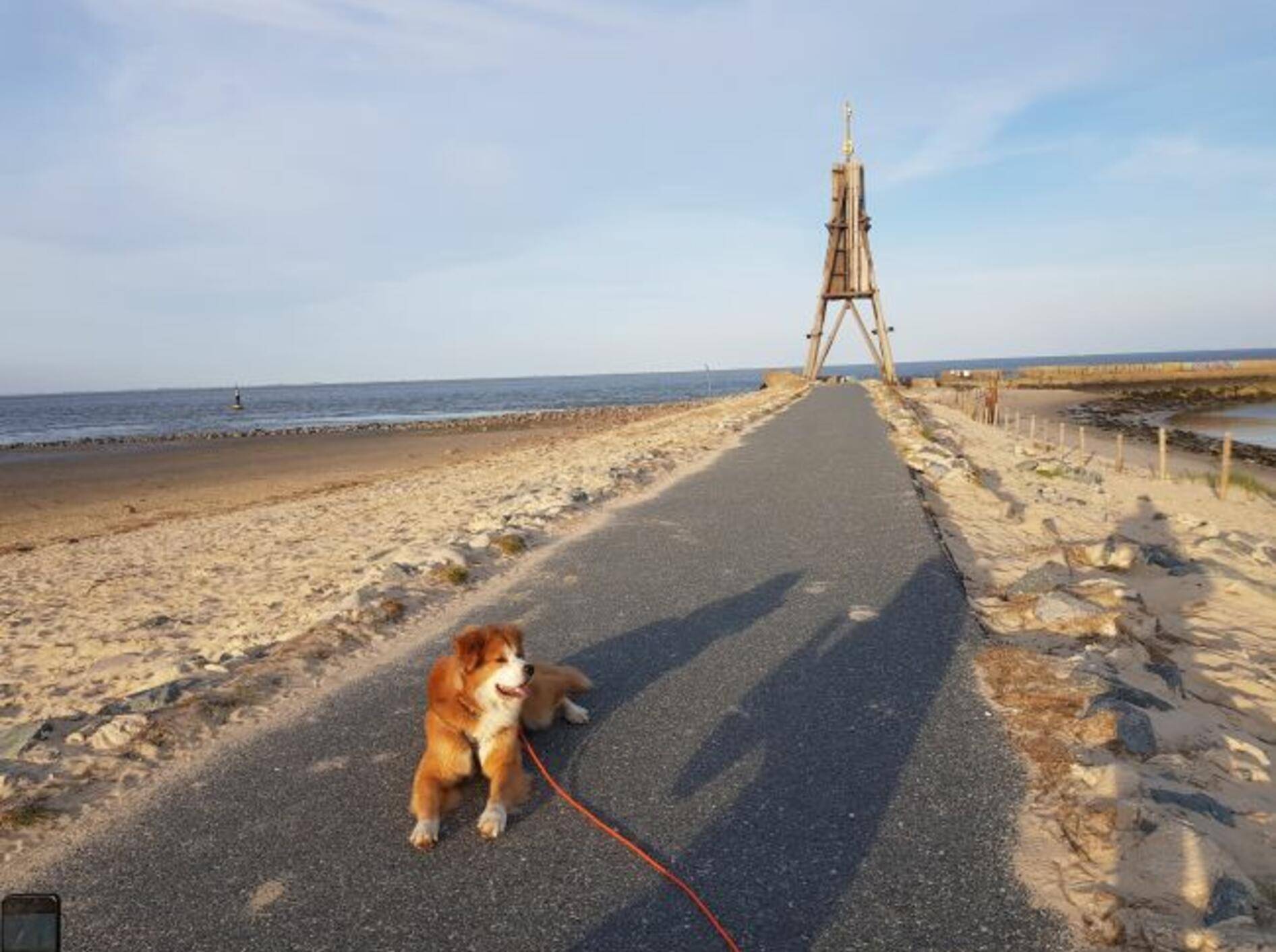 Urlaub mit Hund am Strand - hier in Cuxhaven - ist schön