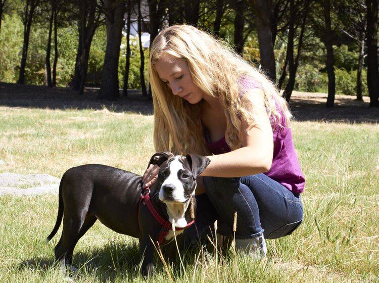 Ein Geschirr ist die richtige Wahl für die Schleppleine – Bild: Shutterstock / dogboxstudio