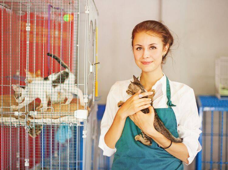 Ein Tierheim ist auf Dauer kein idealer Lebensraum für Tiere, auch wenn sie dort bestens versorgt werden – Shutterstock / Mila Supinskaya