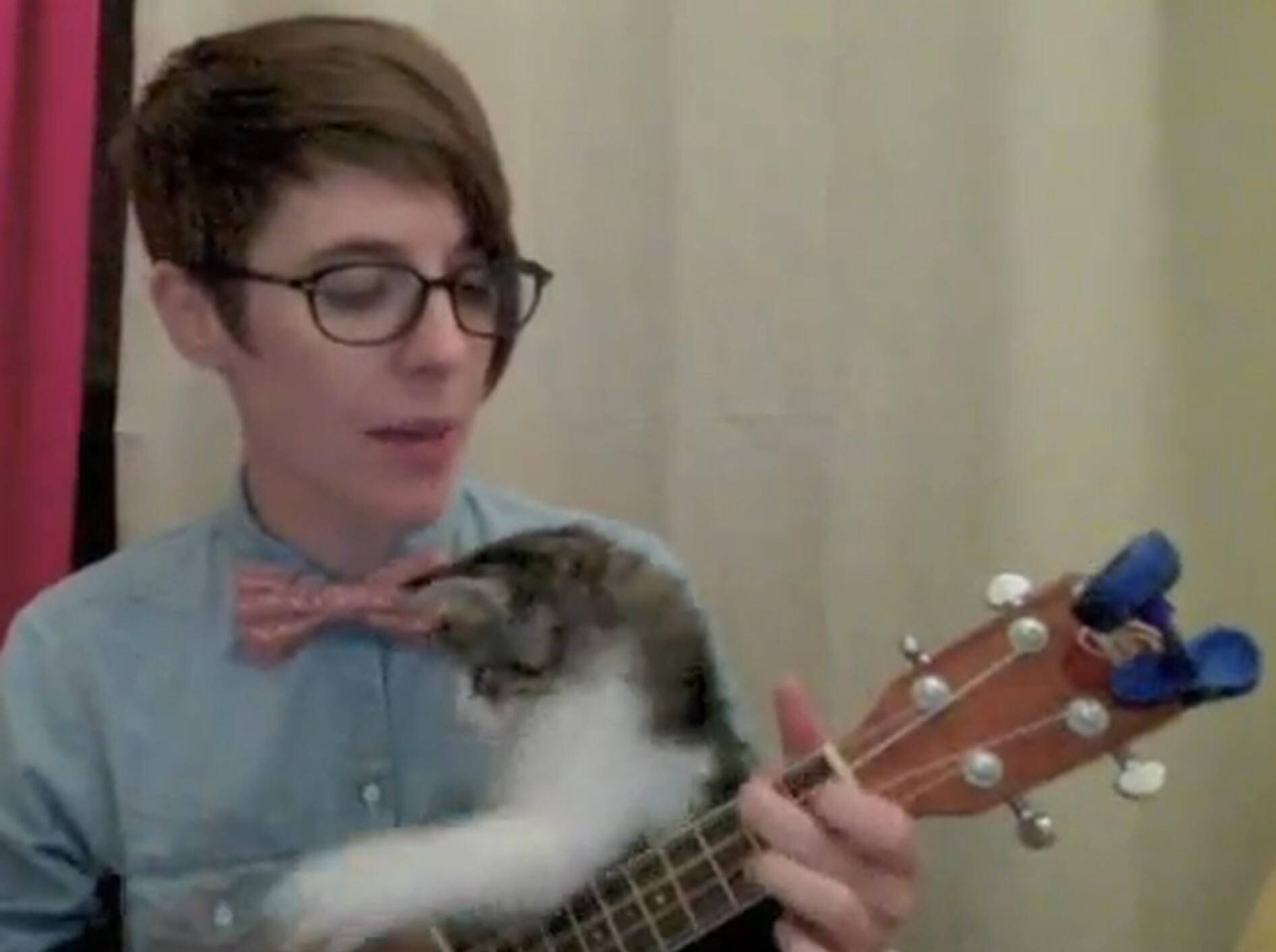 Süßes Kätzchen versucht sich mit Frauchen an der Ukulele