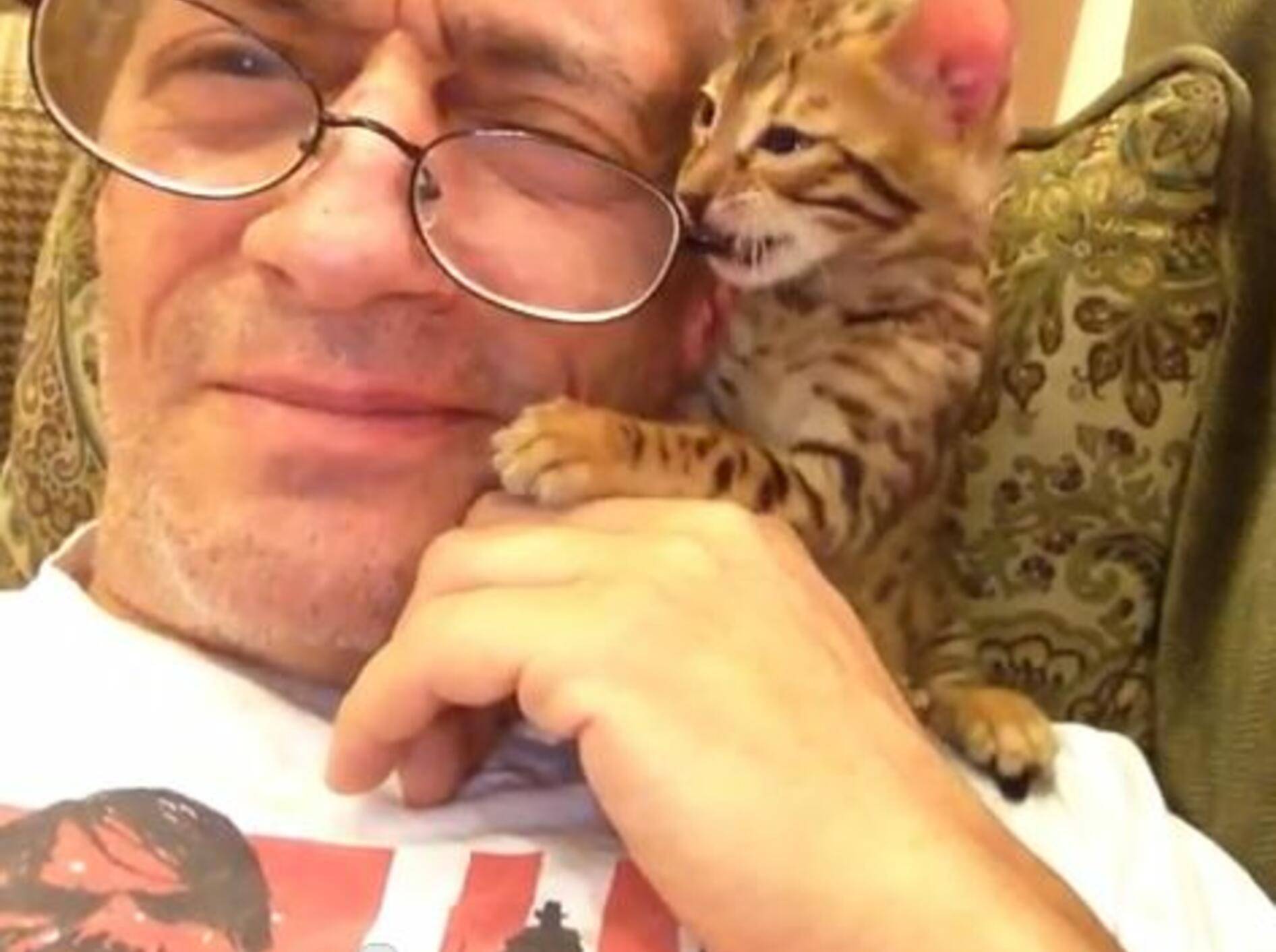 Frecher Jungspund: Kätzchen klaut Herrchen die Brille — Bild: Youtube / Anthony Cumia