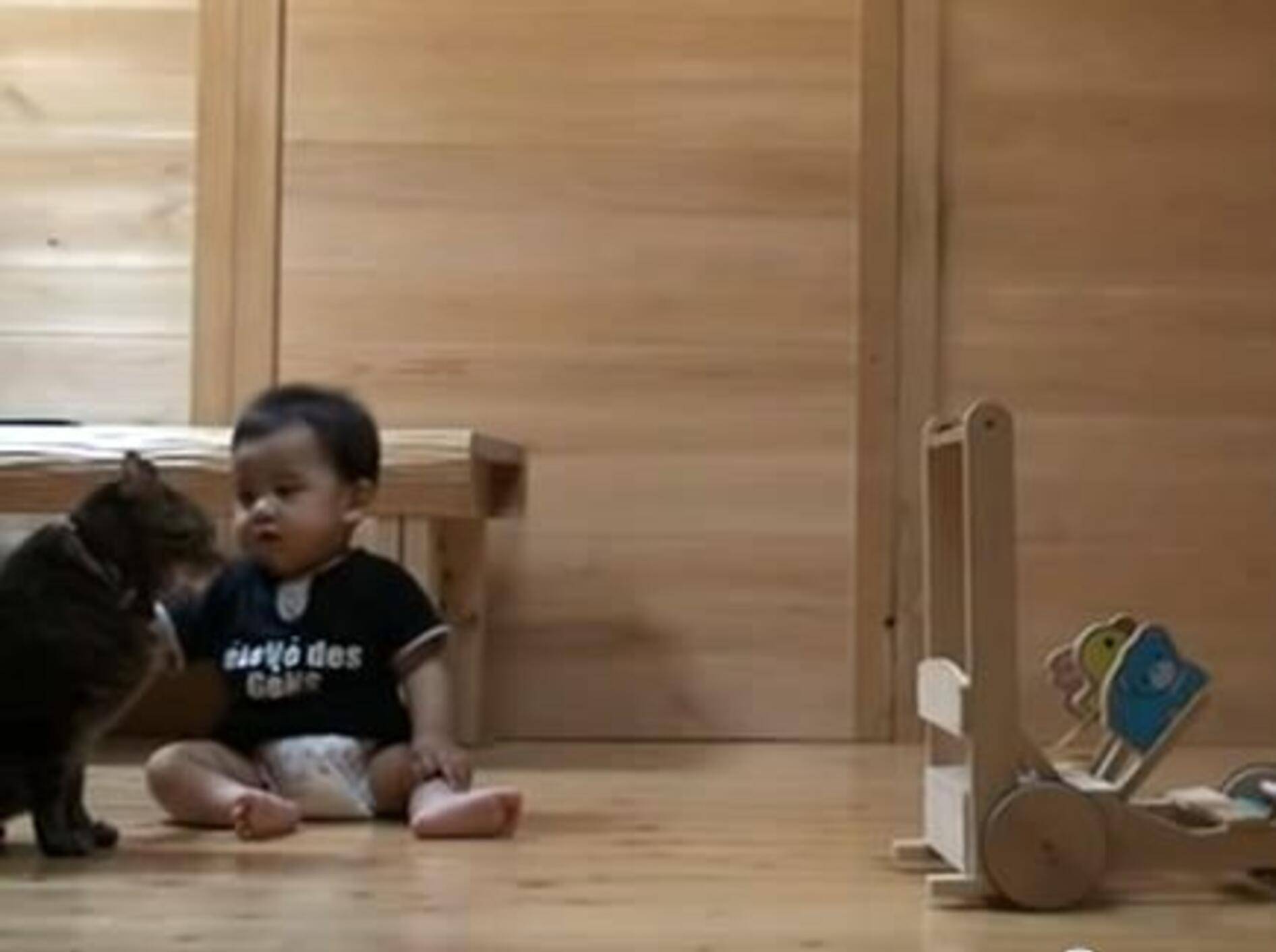 Wie nett: Katze bringt Baby das Laufen bei — Bild: Youtube / Mohamad Safaruddin Shah Othman·