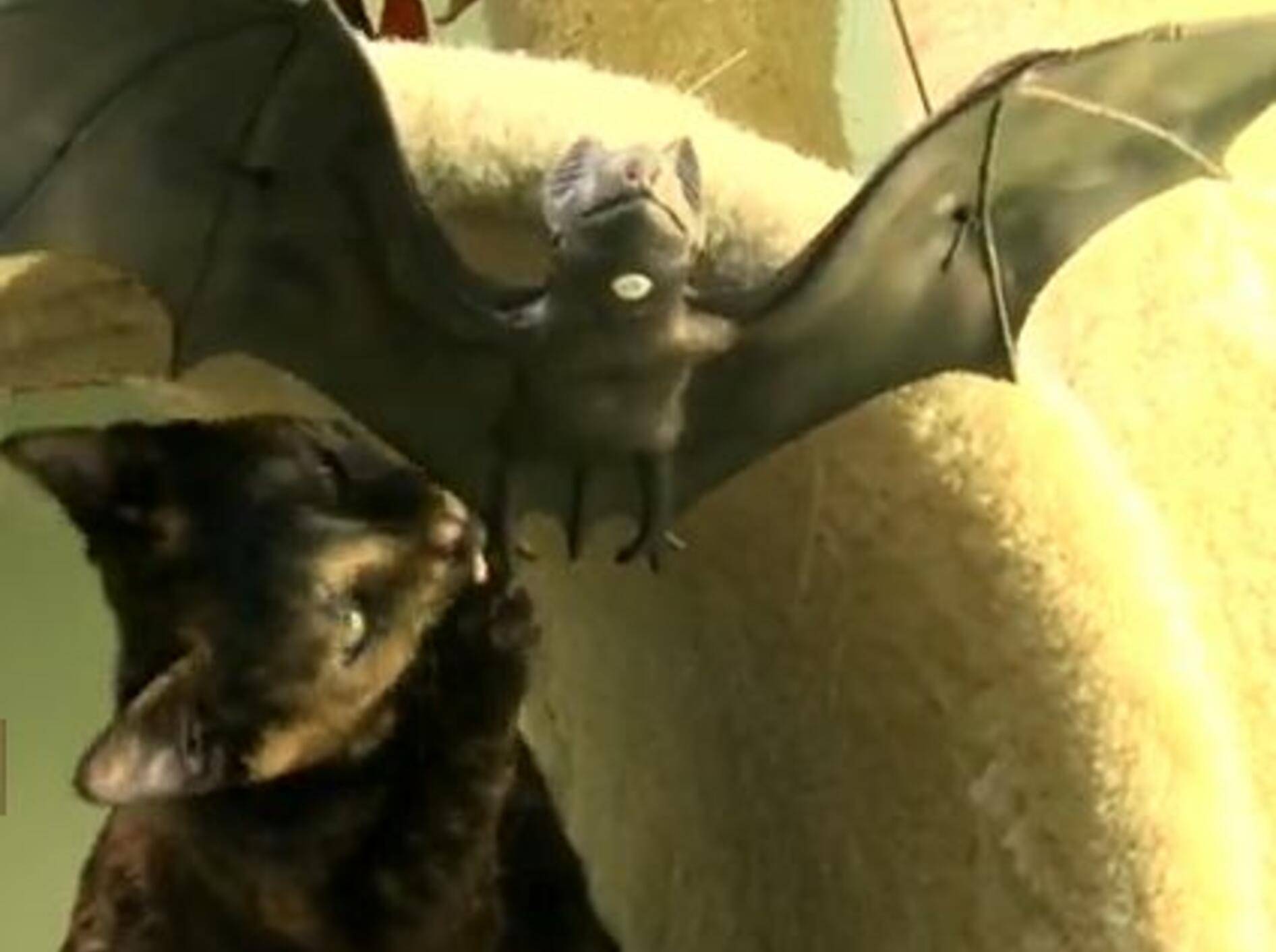 Katzenkind in Halloween-Stimmung