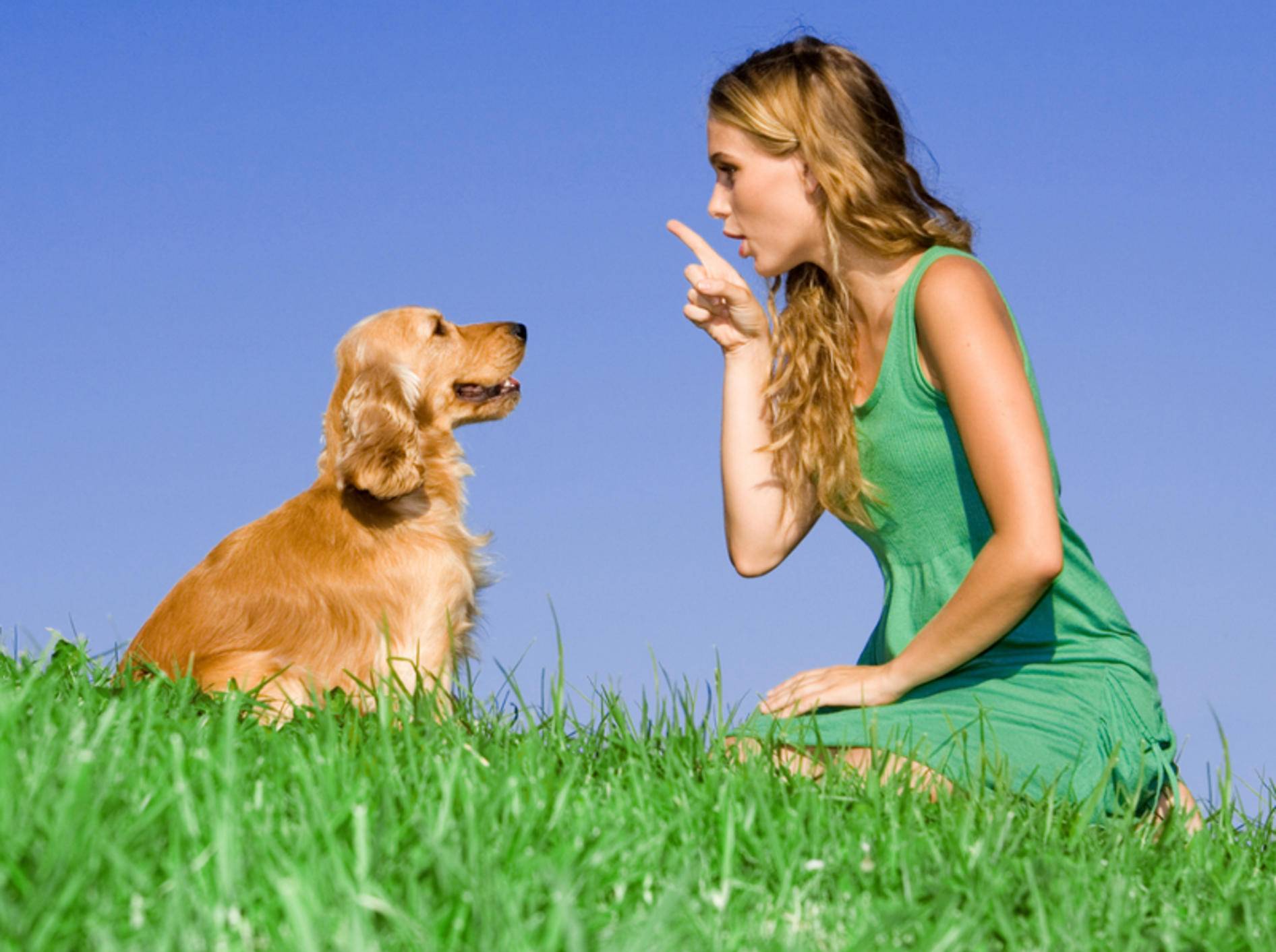 Taube Hunde lassen sich sehr gut mit Zeichensprache erziehen. – Bild: Shutterstock / MANDY GODBEHEAR