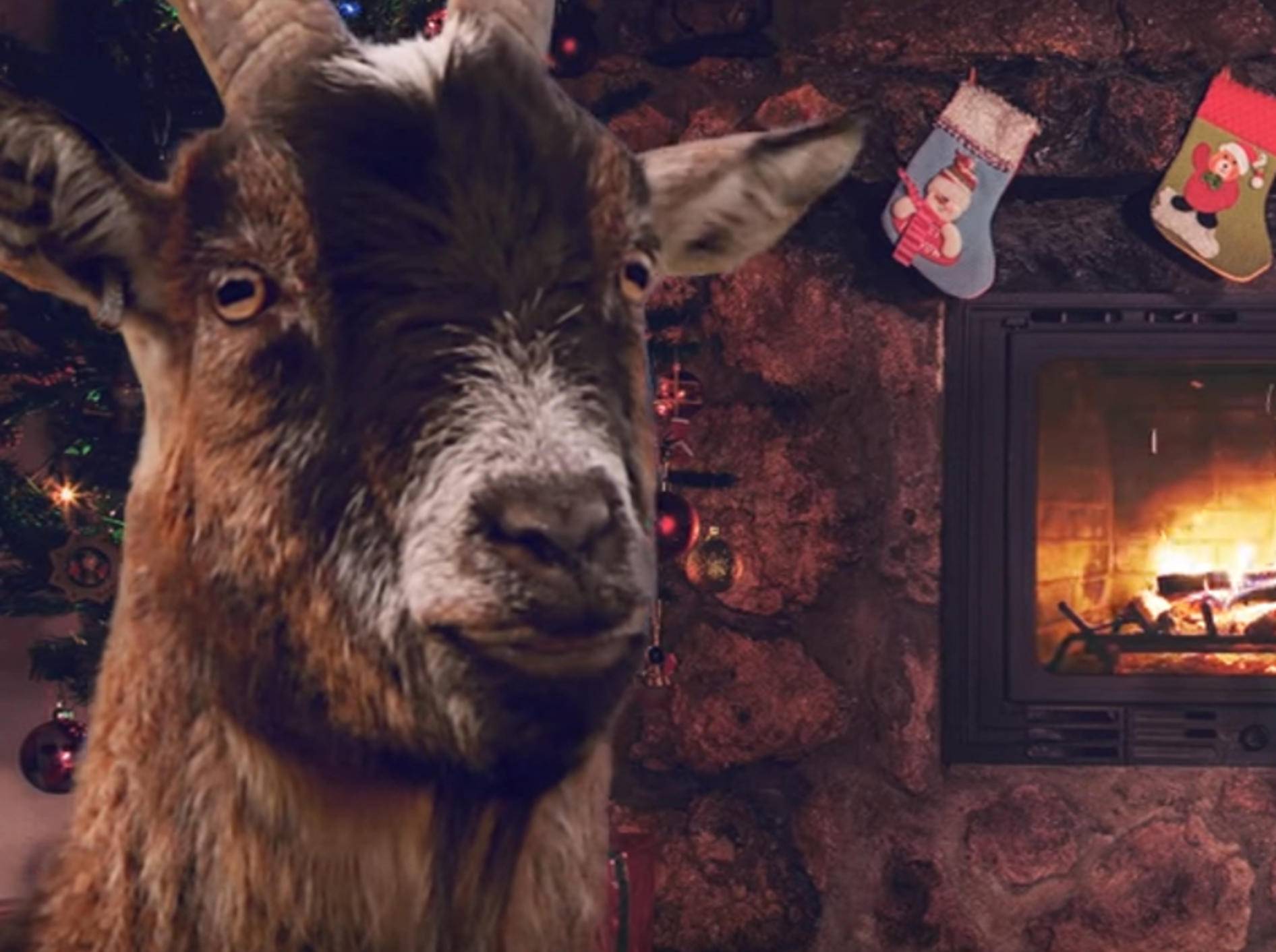 Määäähryyyy Christmas! Ziegen blöken Weihnachtsklassiker – Bild: YouTube / ActionAidSweden