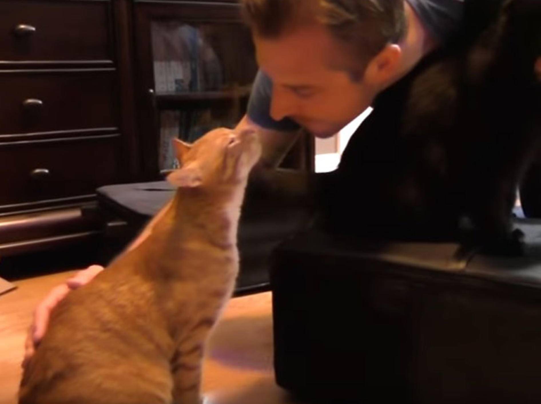 Mensch und Katze: Liebe, die auf Gegenseitigkeit beruht – YouTube / Cole and Marmalade