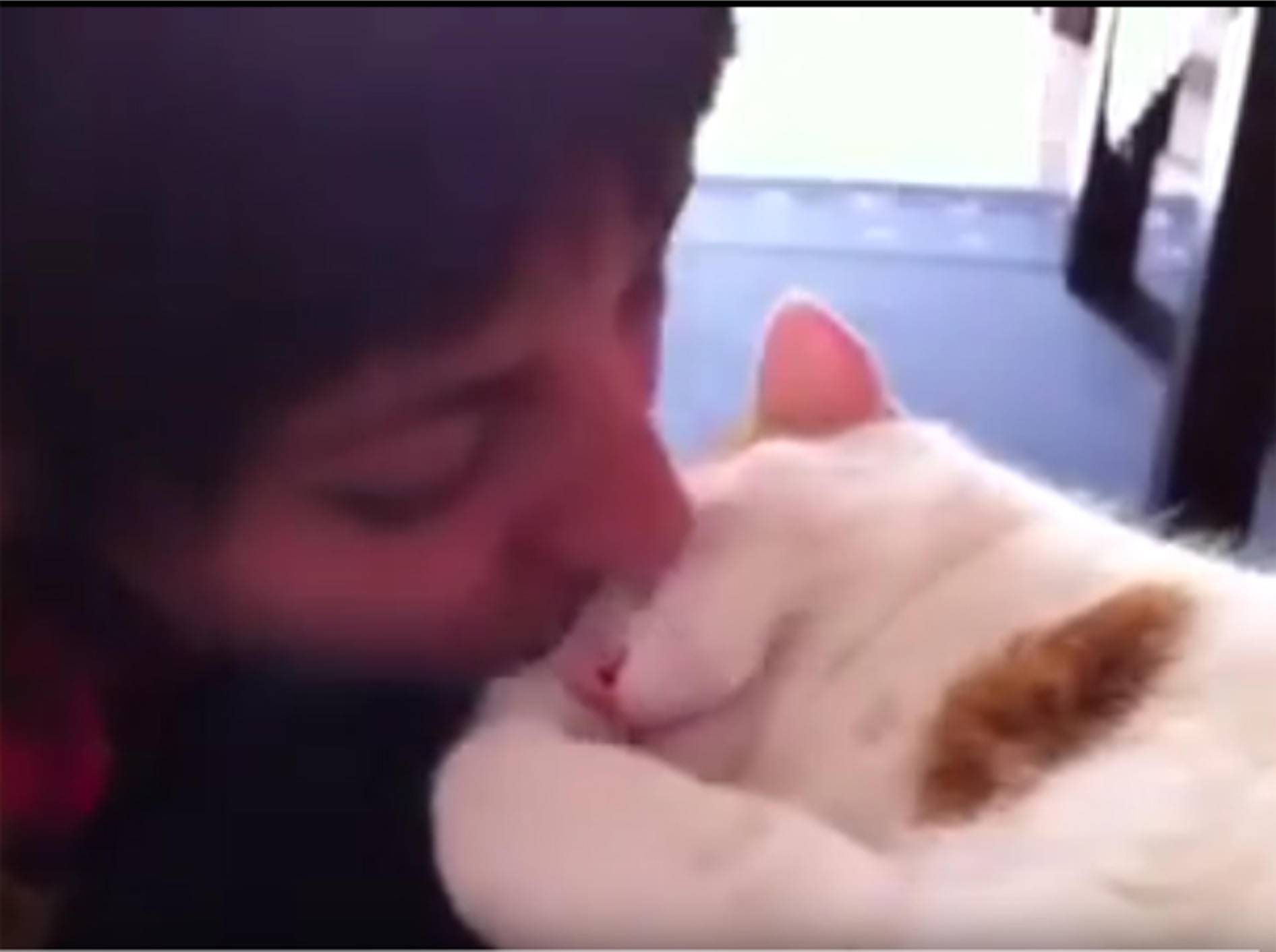 Katze mag keine Küsschen – YouTube / DailyPicksandFlicks
